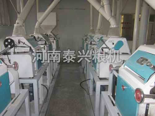 蕎麥面加工設(shè)備